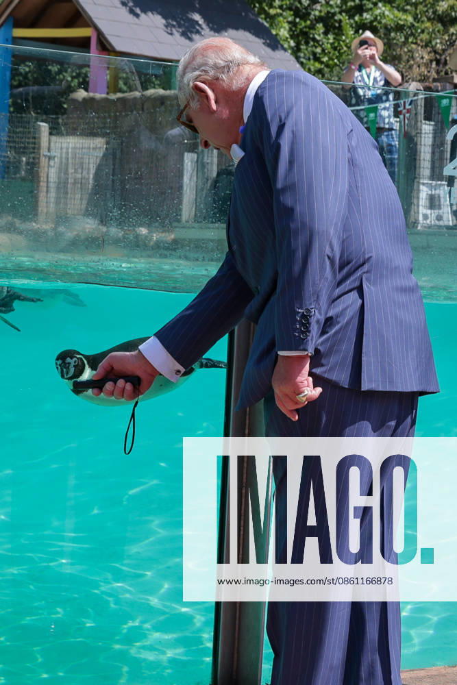London, UK. King Charles III holding a laser pointer to attract Humboldt penguins at Penguin Beach during a visit to London Zoo marking the 200th anniversary of the Zoological Society of London. London UK - ZUMAl94_ 20260709_zaf_l94_017
