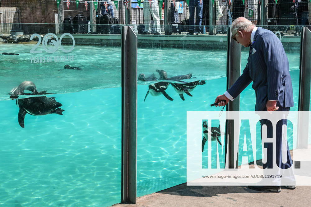King Charles and Queen Camilla celebrate London Zoos 200th Anniversary King Charles and Queen Camilla visit ZSL London Zoo, to celebrate the Zoos 200th Anniversary, in London, UK, on the 9th July 2026. Picture by Richard Pohle WPA-Pool London ZSL London Zoo London United Kingdom WHA-0830