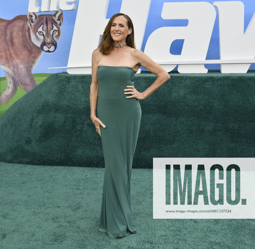 Cast member Molly Shannon attends the premiere of the Netflix sport comedy TV series The Hawk at the Directors Village in the Westwood section of Los Angeles on Thursday, July 9, 2026. Storyline Follows Lonnie Hawkins, 2004 s top golfer, as he struggles to recapture his magic late in his career, refusing to believe he s anything other than one stroke away from golf s greatest comeback. LAP2026070917 JIMxRUYMEN