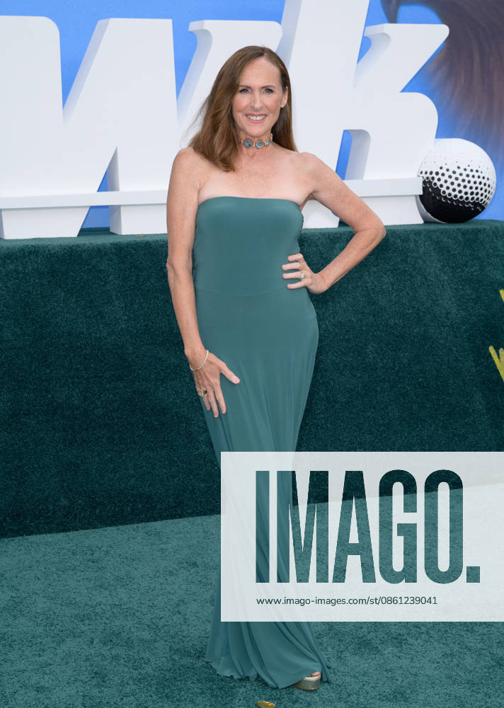 The Hawk Premiere - Los Angeles, USA LOS ANGELES, USA. July 09, 2026: Molly Shannon at the premiere for The Hawk at the Directors Village in Westwood. Los Angeles CA USA