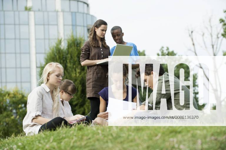 University students studying together outdoors