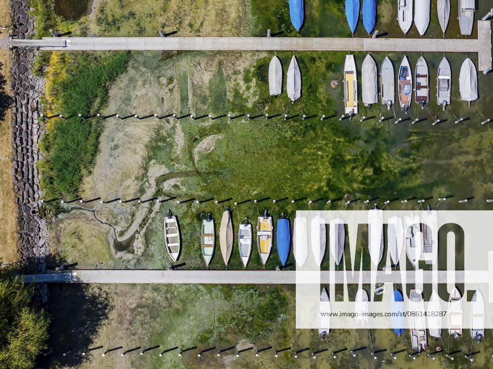 Trockenheit am Bodensee. Der Yachthafen von Mannenbach-Salenstein im Kanton Thurgau liegt fast vollständig trocken. Boote liegen am Liegeplatz am Bootssteg auf dem Trockenen und kommen nicht mehr ins Wasser. Luftbild. Mannenbach-Salenstein, Kanton Thurgau, Schweiz Drought on Lake Constance. The marina of Mannenbach-Salenstein in the canton of Thurgau is almost completely dry. Boats are dry at the dock and can no longer get into the water. aerial view. Mannenbach-Salenstein, Canton of Thurgau, Switzerland