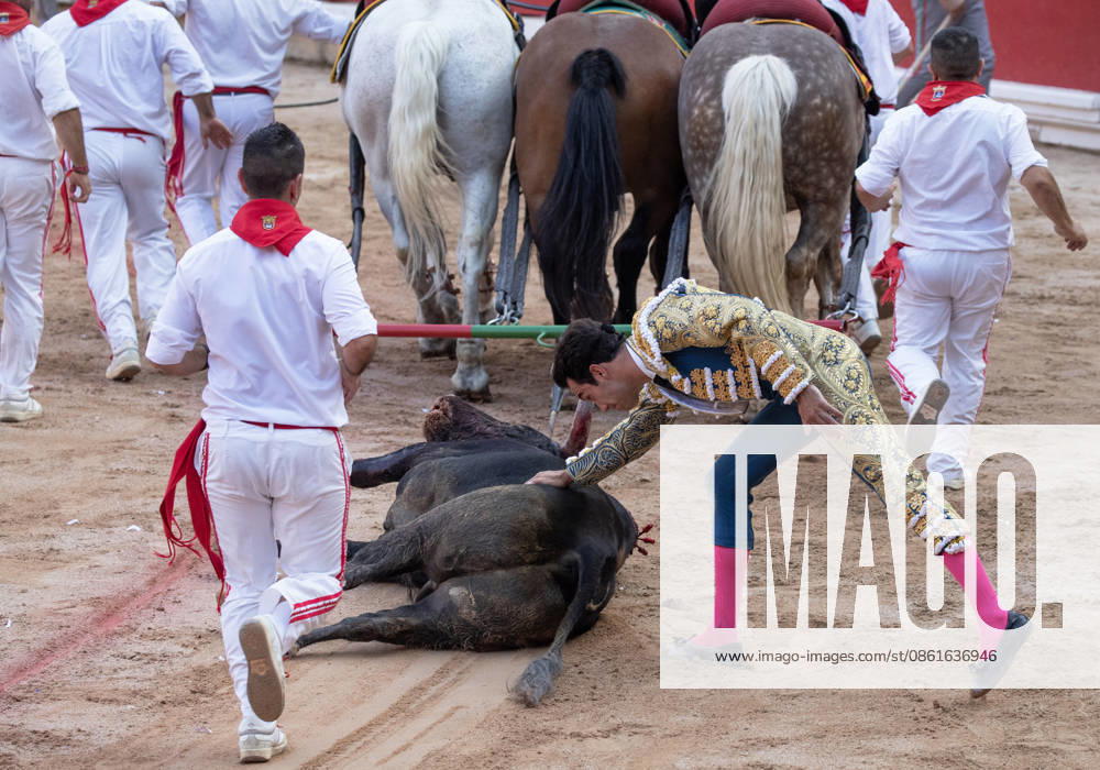 Thomas Rufo pats the hide of his first bull from the ranch of Jandilla named Castigado and weighing 565 kilos as the bull is taken on a lap around the bullring mind a loud round of applause following a fight by Rufo who cut two ears as awards in the final bullfight in the Fiesta de San Fermin and Feria del Toro 2026 in Pamplona, northern Spain, on July 14, 2026. Rufo cut four ears on his two bulls and was carried out from the bullring on shoulders. The renowned festival ends at midnight today. PAM20260714158 JimxHollander