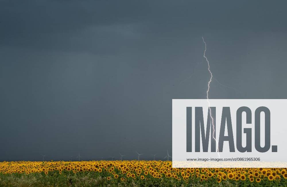 Gewitter verbunden mit Starkregen ziehen am Nachmittag über Thüringen, wie hier über Bechstedt Wagd gesehen. ( Deutschland Thueringen Bechstedt Wagd