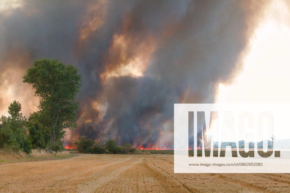 Feldbrand bei Wadendorf Zörbig Anhalt-Bitterfeld Sachen-Anhalt Zweiter Feldbrand zwischen Wadendorf und Löberitz. Ein Feld steht in Flammen. Zörbig Sachsen-Anhalt Deutschland