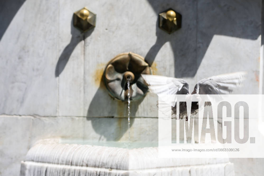 A pigeon tries to cool themselves off at fountain water as people gather near public fountains and seek shade in parks to escape the intense heat in central Belgrade, Serbia, on July 31, 2026. Filip Stevanovic Anadolu Belgrade Serbia. Editorial use only. Please get in touch for any other usage.