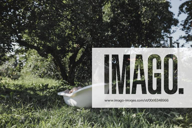 IMAGO Creative, Jahreszeit Sommer, Hitze IMAGO Creative, Sommer, Schatten-Plätze bei Hitze Little girl relaxing in bath tub in garden model released Symbolfoto property released KMKF00497