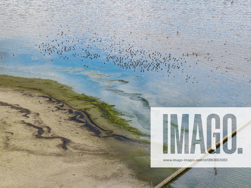 Bodenseeufer bei Moos mit wenig Wasser. Der Wasserstand ist aufgrund des heißen Sommers auf einem Tiefststand. In vielen Häfen des Untersees ist kaum noch Wasser. Moos liegt am Ufer des Bodensee auf der Halbinsel Höri. 06.08.2026, Moos, Baden-Württemberg, Deutschland