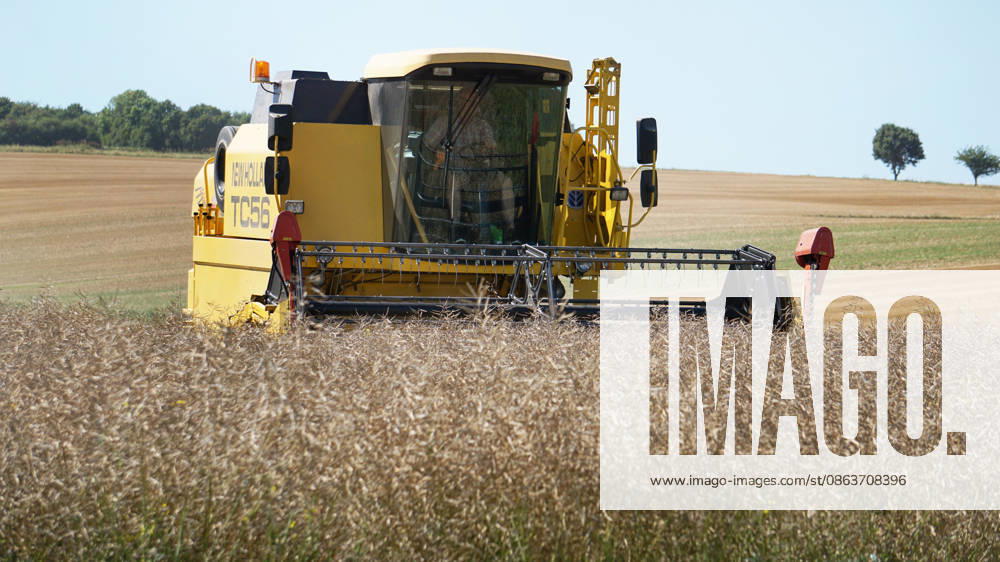 Rapsernte in Eilensen im Landkreis Northeim am Solling in Deutschland im Bundesland Niedersachsen. Maehdrescher der Marke New Holland drescht Raps auf trockenem Feld bei sonnigem Sommerwetter. Rapsernte 2026 in Niedersachsen