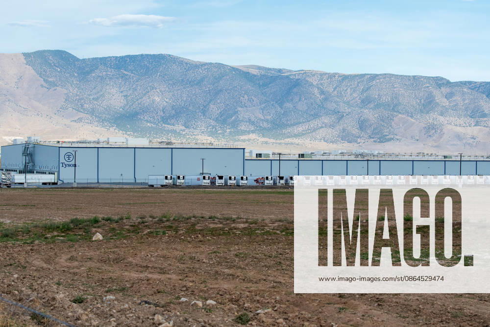 Tyson Foods Shuts Multiple U.S. Production Plants Amid Historic Cattle Shortages A line of white semi-truck trailers is parked along the loading bays of the Tyson Foods case-ready meat processing facility in Eagle Mountain, Utah, United States, on August 19, 2026. Tyson Foods, Inc. has accelerated a nationwide supply chain restructuring, permanently closing multiple major facilities across the country due to domestic livestock shortages and rising corporate operational losses. Eagle Mountain Utah United States