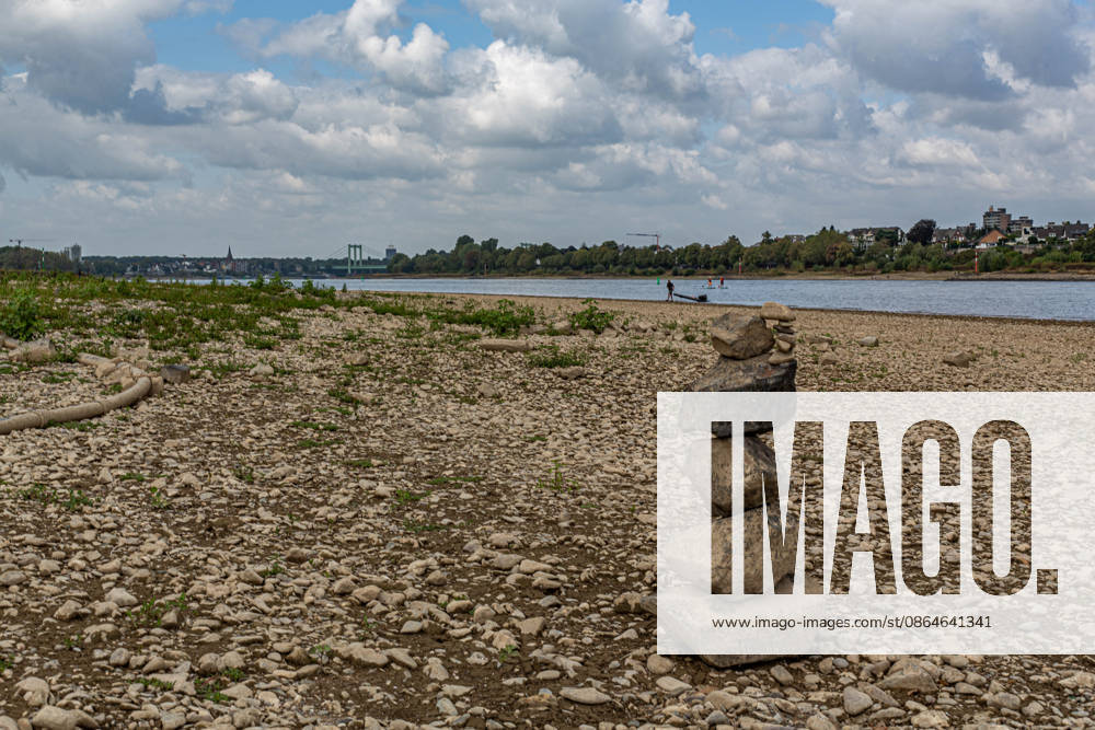 Blick auf das ausgetrocknete Flussbett des Rheins und Porz auf der rechten Rheinseite, gesehen vom Weißer Rheinbogen bei Köln-Sürth. Von den Tiefstständen haben sich die Pegelständde am Rhein inzwischen wieder leicht entfernt. Im Hintergrund ist die Rodenkirchener Brücke zu sehen. Niedrigwasser Rhein