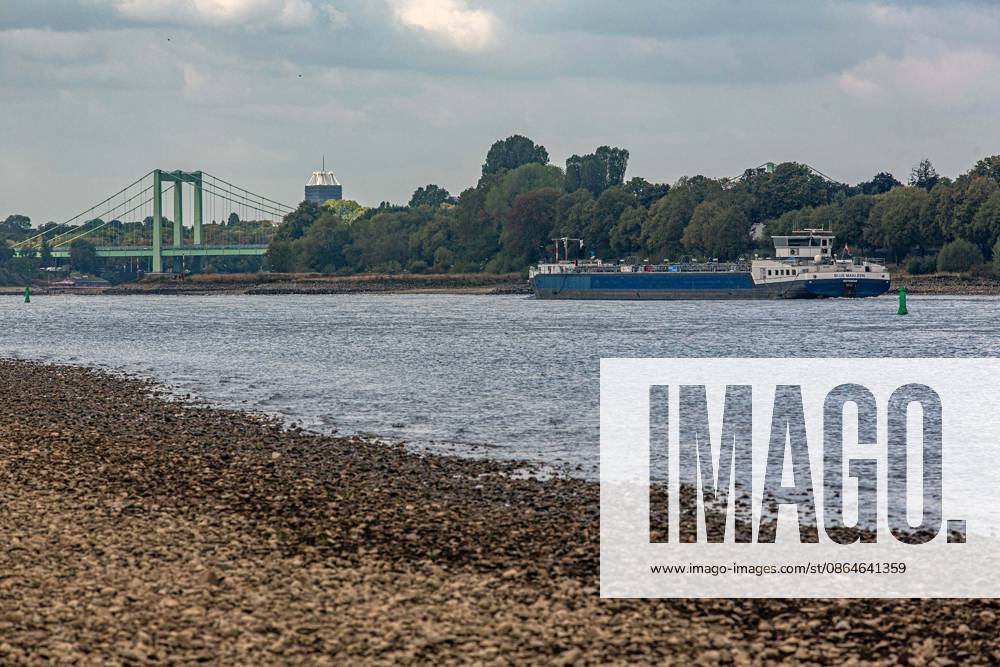 Blick auf das ausgetrocknete Flussbett des Rheins und Porz auf der rechten Rheinseite, gesehen vom Weißer Rheinbogen bei Köln-Sürth. Von den Tiefstständen haben sich die Pegelständde am Rhein inzwischen wieder leicht entfernt. Im Hintergrund ist die Rodenkirchener Brücke zu sehen. Niedrigwasser Rhein