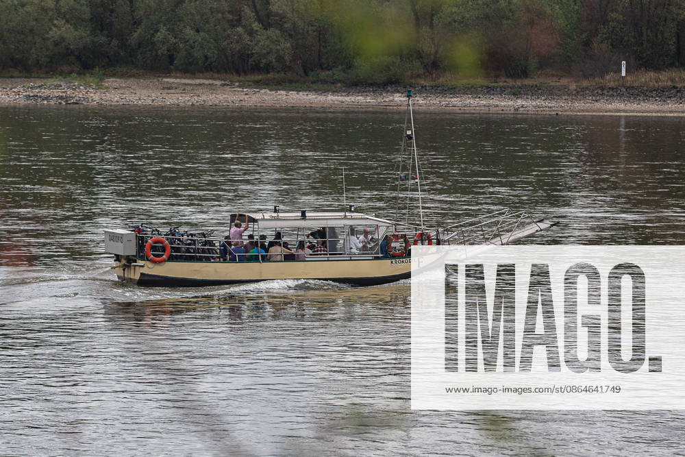 Eine Personenfähre transportiert Fahrgäste auf dem Rhein zwischen Köln-Weiß und Zündorf. Der Betrieb war wegen Niedrigwasser vorübergehend eingetellt worden. Rheinfähre