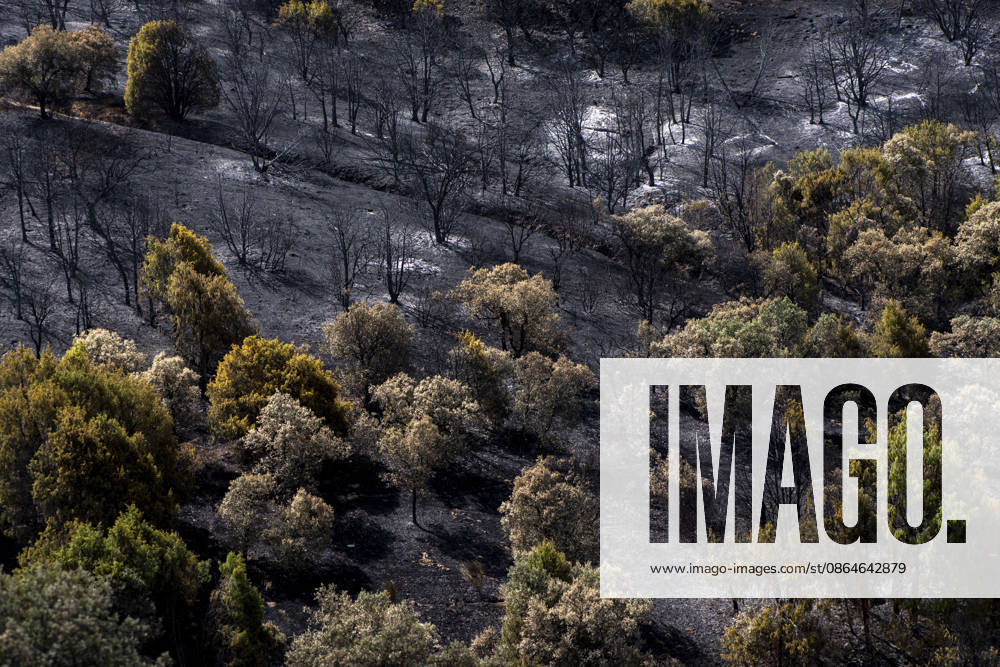 A wildfire in Aldea del Fresno, Madrid, forces the evacuation of this town and Villamantilla Vista after the fire passed through, on August 23, 2026, in Aldea del Fresno, Madrid, Spain. The wildfire that originated in Aldea del Fresno was downgraded from Operational Level 1 to Level 0 under the Civil Protection Plan on August 20 following a very favorable progression of the fire. AUGUST 23, 2026 FIRE EMbers BURNT LAND NATURE ÁBURNT TREES CHARRED FIRE SIERRA OESTE FIRE S PATH BURNT LANDSCAPE LANDSCAPE Aldea del Fresno Madrid Aldea del Fresno Madrid, Spain