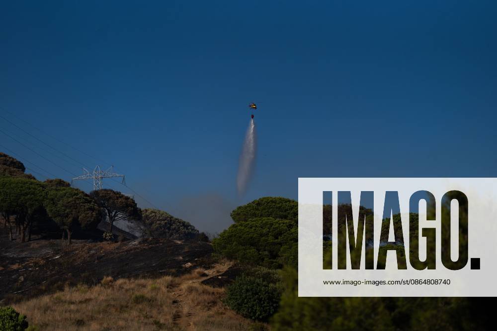 BARCELONA, SPAIN - AUGUST 25, 2026. Firefighters battle a devastating wildfire that has scorched dozens of hectares in Collserola Natural Park, prompting the precautionary evacuation of the Can Masdeu social center and several residential homes in the Torre Baro³ neighborhood. Barcelona Spain - ZUMAq101 20260825_zna_q101_058
