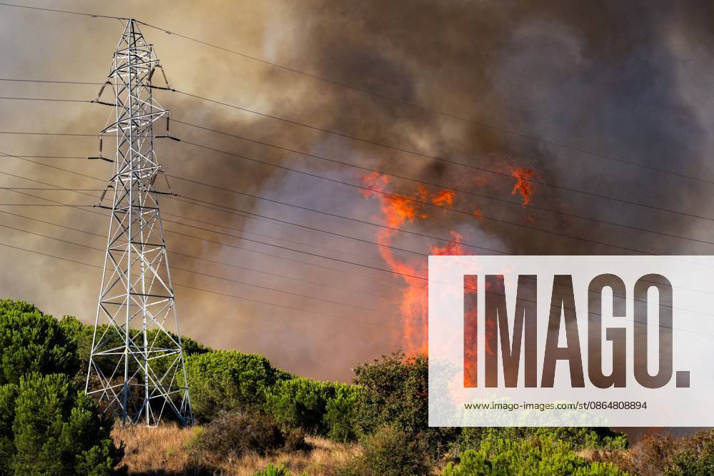 BARCELONA, SPAIN - AUGUST 25, 2026. Firefighters battle a devastating wildfire that has scorched dozens of hectares in Collserola Natural Park, prompting the precautionary evacuation of the Can Masdeu social center and several residential homes in the Torre Baro³ neighborhood. Barcelona Spain - ZUMAq101 20260825_zna_q101_063