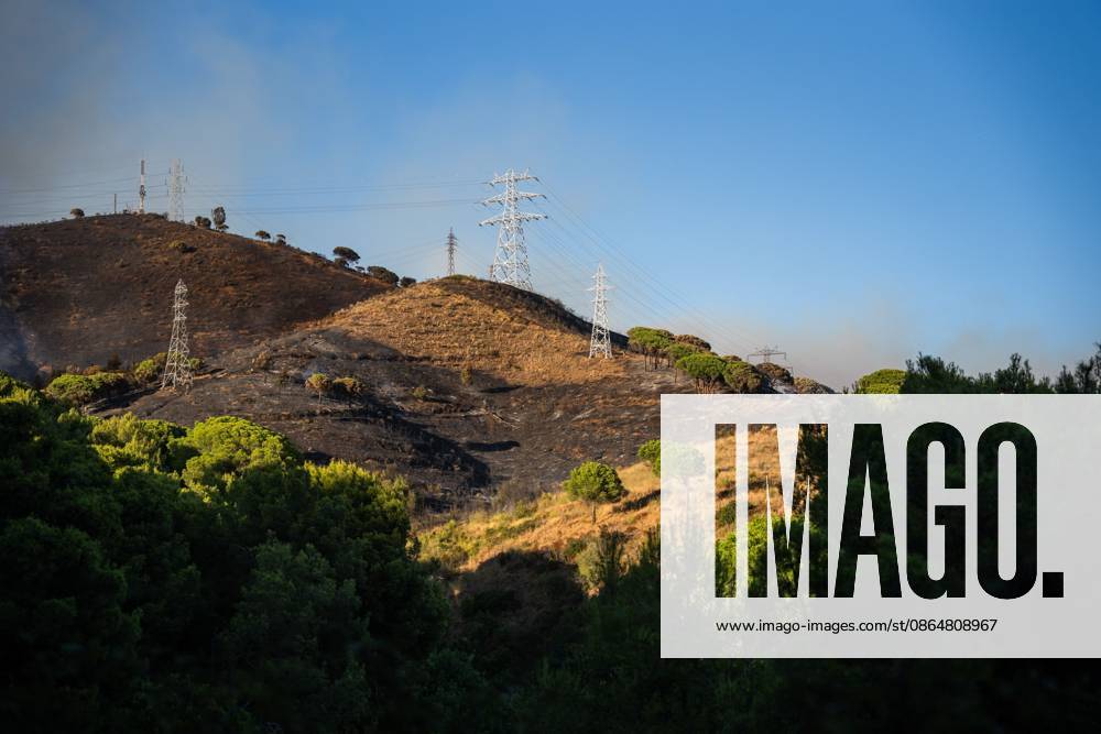 Wildfire Rages in Collserola. BARCELONA, SPAIN - AUGUST 25, 2026. Firefighters battle a devastating wildfire that has scorched dozens of hectares in Collserola Natural Park, prompting the precautionary evacuation of the Can Masdeu social center and several residential homes in the Torre Baro neighborhood. Barcelona Spain