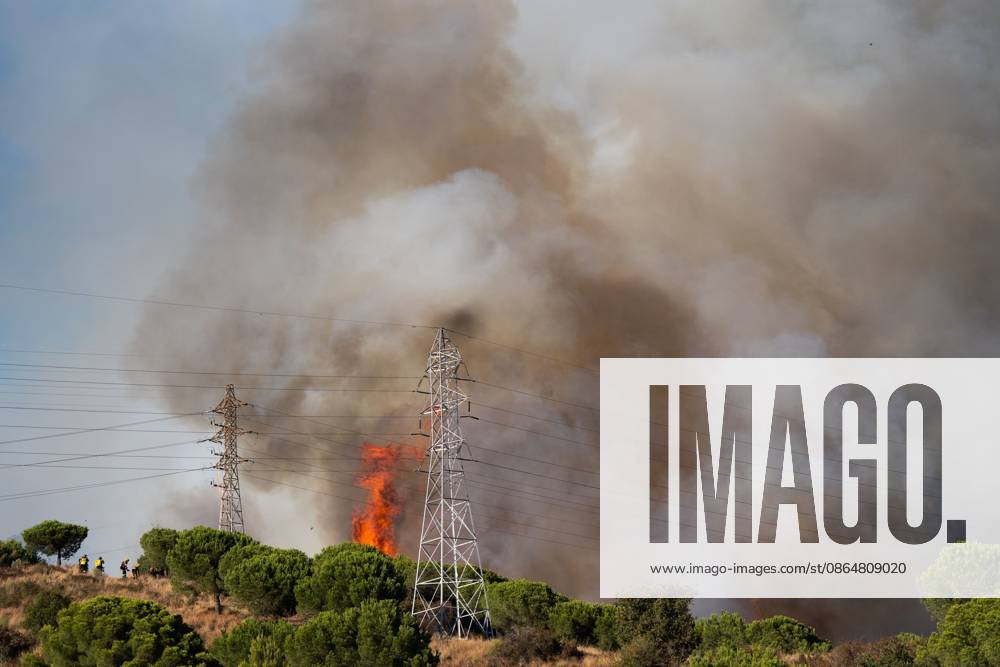 Wildfire Rages in Collserola. BARCELONA, SPAIN - AUGUST 25, 2026. Firefighters battle a devastating wildfire that has scorched dozens of hectares in Collserola Natural Park, prompting the precautionary evacuation of the Can Masdeu social center and several residential homes in the Torre Baro neighborhood. Barcelona Spain