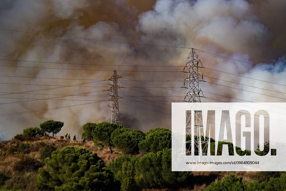 Wildfire Rages in Collserola. BARCELONA, SPAIN - AUGUST 25, 2026. Firefighters battle a devastating wildfire that has scorched dozens of hectares in Collserola Natural Park, prompting the precautionary evacuation of the Can Masdeu social center and several residential homes in the Torre Baro neighborhood. Barcelona Spain