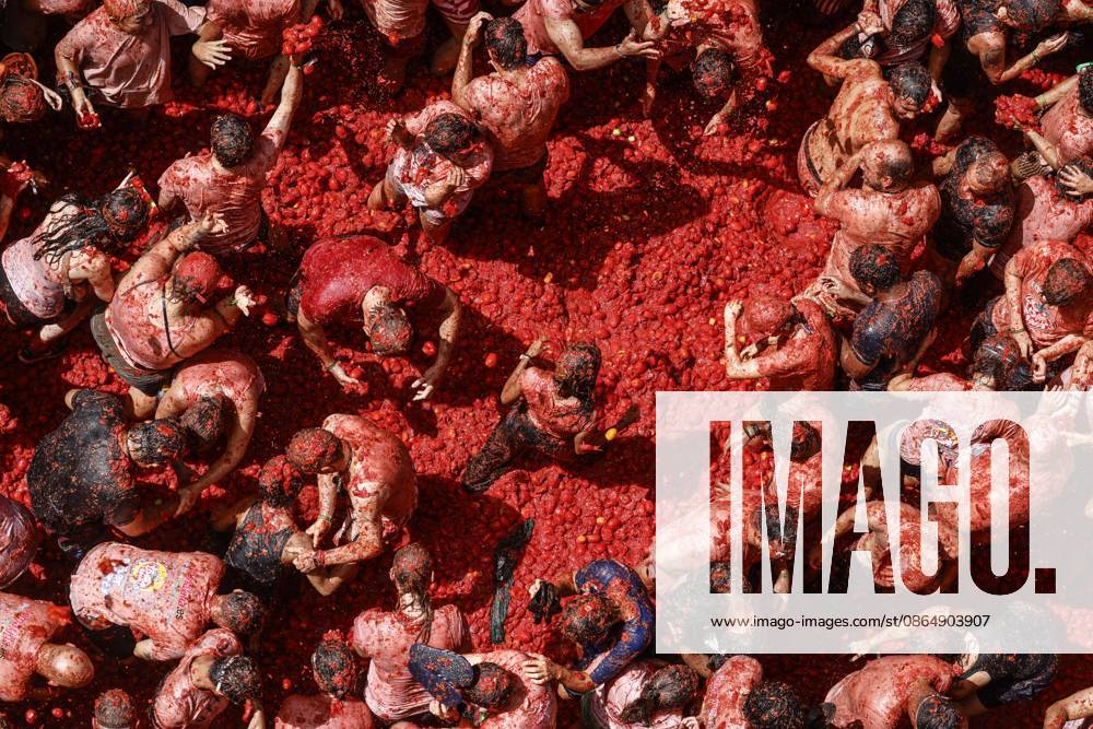 Celebration of La Tomatina in Bunol, Valencia, 2026 Several participants in the La Tomatina festival in Bunol celebrate during the event on August 26, 2026, in Bunol, Valencia, Valencian Community, Spain. La Tomatina is always held on the last Wednesday of August, as part of Bunol’s festival week, and involves participants throwing tomatoes at one another. Seven trucks were needed to transport the 150,000 kilos of tomatoes that were thrown in this unique battle, which this year celebrates its 79th anniversary. AUGUST 26, 2026 FESTIVAL TRADITION CULTURE Bunol, Valencia, Valencian Community Bunol, Valencia, Valencian Community, Spain
