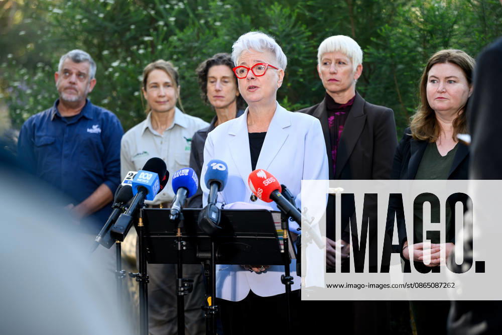 BIRD FLU PRESSER, (L-R) Australias Regent Honeyeater Recovery Advisor Mick Roderick, Taronga Veterinary Pathology Registrar Dr Karrie Rose, NSW Department of Climate Change, Energy, the Environment and Water Executive Director Conservation Programs Ingrid Emery, NSW Minister for the Environment Penny Sharpe, NSW Chief Veterinary Officer Dr Joanne Coombe, and NSW Minister for Agriculture Tara Moriarty during a press conference at Taronga Zoo, Sydney, Friday, August 28, 2026. The NSW Government has commenced a rollout of targeted vaccinations for vulnerable species of birds to help protect them against H5 avian influenza (bird flu). ( NO ARCHIVING SYDNEY NEW SOUTH WALES AUSTRALIA