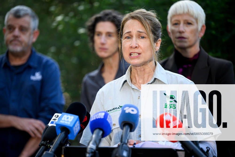 BIRD FLU PRESSER, Taronga Veterinary Pathology Registrar Dr Karrie Rose speaks to media during a press conference at Taronga Zoo, Sydney, Friday, August 28, 2026. The NSW Government has commenced a rollout of targeted vaccinations for vulnerable species of birds to help protect them against H5 avian influenza (bird flu). ( NO ARCHIVING SYDNEY NEW SOUTH WALES AUSTRALIA