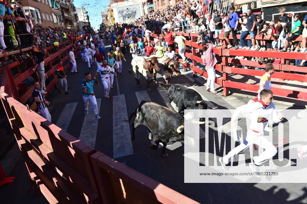 Sixth bull run of the San Sebastián de los Reyes festival in Madrid. Runners during the sixth bull run of the San Sebastián de los Reyes festival, featuring bulls from the Núnez de Tarifa ranch, on August 29, 2026, in San Sebastián de los Reyes, Madrid, Spain. This is one of the most iconic events of the patron saint festivities in honor of the Santísimo Cristo de los Remedios. The route is 820 meters long and runs from the pens to the bullring, drawing thousands of runners and spectators. During these days, there is also a nighttime bull run, bull releases, contests, and visits to the pens to see the bulls before the races. AUGUST 29, 2026 BULLS San Sebastián de los Reyes, Madrid San Sebastián de los Reyes, Madrid, Spain