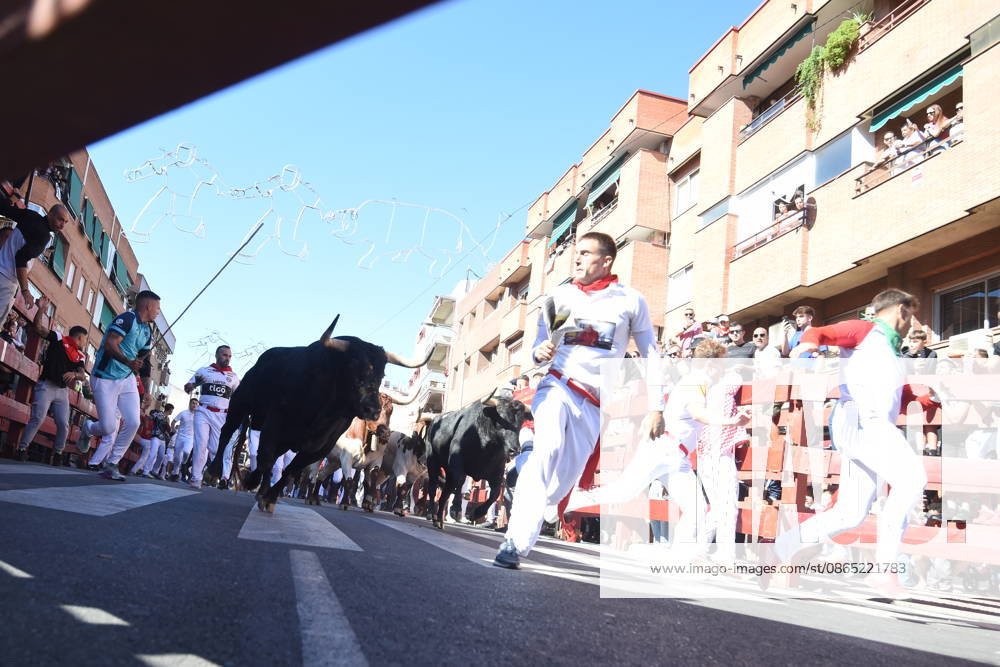 Sixth bull run of the San Sebastián de los Reyes festival in Madrid. Runners during the sixth bull run of the San Sebastián de los Reyes festival, featuring bulls from the Núnez de Tarifa ranch, on August 29, 2026, in San Sebastián de los Reyes, Madrid, Spain. This is one of the most iconic events of the patron saint festivities in honor of the Santísimo Cristo de los Remedios. The route is 820 meters long and runs from the pens to the bullring, drawing thousands of runners and spectators. During these days, there is also a nighttime bull run, bull releases, contests, and visits to the pens to see the bulls before the races. AUGUST 29, 2026 BULLS San Sebastián de los Reyes, Madrid San Sebastián de los Reyes, Madrid, Spain