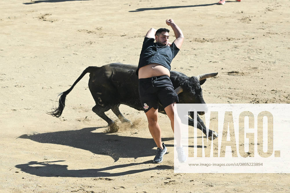 Sixth bull run of the San Sebastián de los Reyes festival in Madrid. Runners in the bullring during the sixth bull run of the San Sebastián de los Reyes festival, featuring bulls from the Núnez de Tarifa ranch, on August 29, 2026, in San Sebastián de los Reyes, Madrid, Spain. This is one of the most iconic events of the patron saint festivities in honor of the Santísimo Cristo de los Remedios. The route is 820 meters long and runs from the pens to the bullring, drawing thousands of runners and spectators. During these days, there is also a nighttime bull run, bull releases, contests, and visits to the pens to see the bulls before the races. AUGUST 29, 2026 BULLS San Sebastián de los Reyes, Madrid San Sebastián de los Reyes, Madrid, Spain