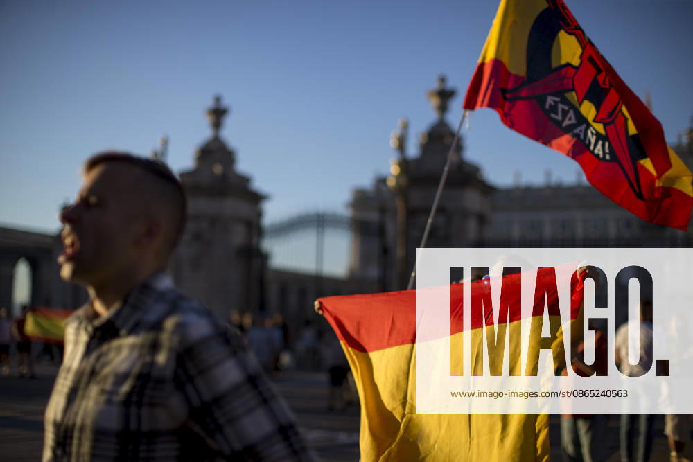 Several members of the far-right groups Europe Save Act, Revuelta, and Reconquista, carrying Spanish flags, held a rally in Madrid s Plaza de la ArmeroÂa to unfurl a giant banner in support of remigration. Madrid Spain - ZUMAs296 20260829_znp_s296_003