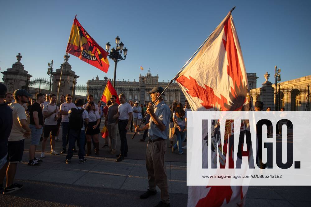 A man carries a flag with an imperial eagle.Rally organized by far-right groups such as Europe Save Act, Revuelta, and Reconquista in support of remigration, under the slogan Save Spain, save Europe! Madrid Spain - ZUMAs197 20260829_aaa_s197_147