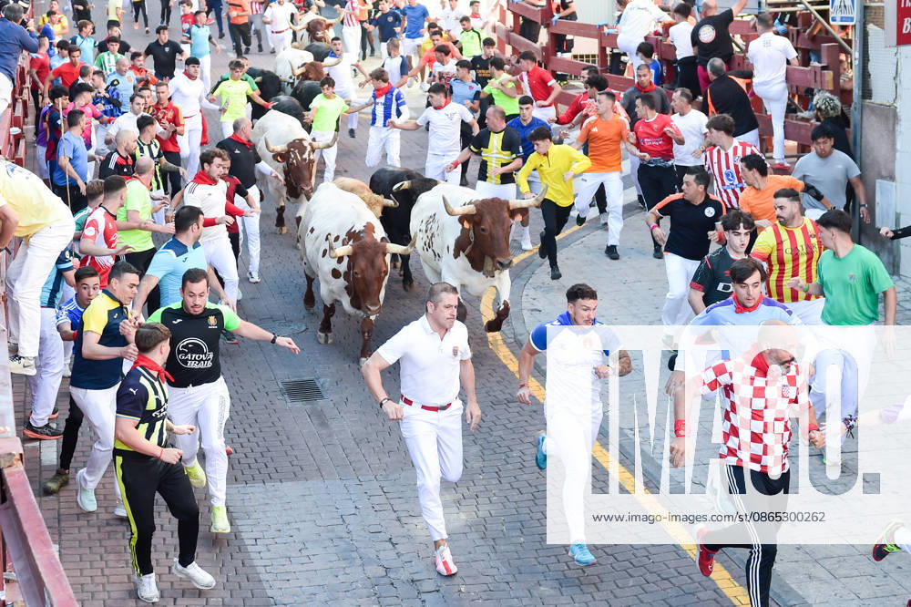 Seventh bull run of the San Sebastián de los Reyes festival in Madrid. Runners during the seventh bull run of the San Sebastián de los Reyes festival, featuring bulls from the Juan Pedro Domecq and Álvaro Núnez ranches, on August 30, 2026, in San Sebastián de los Reyes, Madrid, Spain. This is one of the most iconic events of the patron saint festivities in honor of the Santísimo Cristo de los Remedios. The route is 820 meters long and runs from the pens to the bullring, bringing together thousands of runners and spectators. During these days, there is also a nighttime bull run, bull releases, contests, and visits to the pens to see the bulls before the races. AUGUST 30, 2026 BULLS LOCAL FESTIVITIES San Sebastián de los Reyes, Madrid San Se