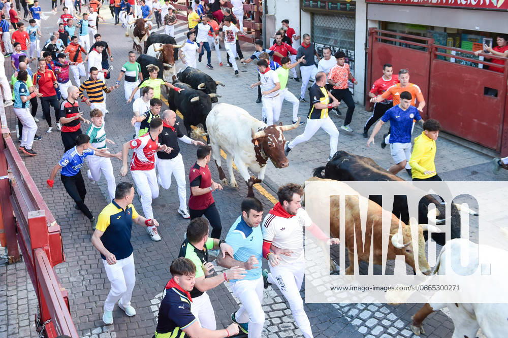 Seventh bull run of the San Sebastián de los Reyes festival in Madrid. Runners during the seventh bull run of the San Sebastián de los Reyes festival, featuring bulls from the Juan Pedro Domecq and Álvaro Núnez ranches, on August 30, 2026, in San Sebastián de los Reyes, Madrid, Spain. This is one of the most iconic events of the patron saint festivities in honor of the Santísimo Cristo de los Remedios. The route is 820 meters long and runs from the pens to the bullring, bringing together thousands of runners and spectators. During these days, there is also a nighttime bull run, bull releases, contests, and visits to the pens to see the bulls before the races. AUGUST 30, 2026 BULLS LOCAL FESTIVITIES San Sebastián de los Reyes, Madrid San Se