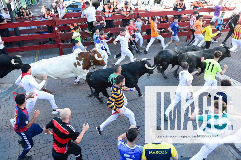 Seventh bull run of the San Sebastián de los Reyes festival in Madrid. Runners during the seventh bull run of the San Sebastián de los Reyes festival, featuring bulls from the Juan Pedro Domecq and Álvaro Núnez ranches, on August 30, 2026, in San Sebastián de los Reyes, Madrid, Spain. This is one of the most iconic events of the patron saint festivities in honor of the Santísimo Cristo de los Remedios. The route is 820 meters long and runs from the pens to the bullring, bringing together thousands of runners and spectators. During these days, there is also a nighttime bull run, bull releases, contests, and visits to the pens to see the bulls before the races. AUGUST 30, 2026 BULLS LOCAL FESTIVITIES San Sebastián de los Reyes, Madrid San Se
