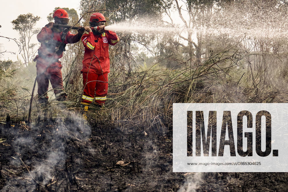 Peatland Fire In South Sumatra A Manggala Agni firefighter works to extinguish a peatland fire in Arisanjaya Village, Ogan Ilir, South Sumatra, on August 30, 2006. South Sumatra Indonesia
