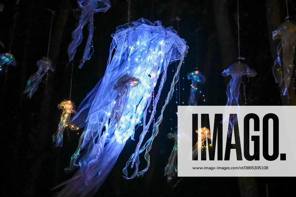 (260830) -- IDA-VIRU, Aug. 30, 2026 -- This photo taken on Aug. 29, 2026 shows illuminated jellyfish-like decorations during the Magic Forest charity event for animals held at Paite Loomapark in Ida-Viru County, northeastern Estonia, Aug. 29, 2026. (Photo by Xinhua) ESTONIA-IDA-VIRU-CHARITY EVENT SergeixStepanov