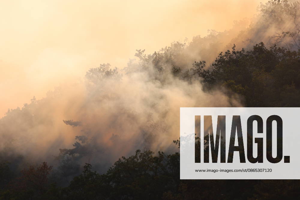 RUSSIA, REPUBLIC OF CRIMEA - AUGUST 30, 2026: Smoke billows from a burning forest on the slopes of the Chishma-Kaya Plateau in the vicinity of Mangul-Kale in the Bakhchisarai District. Maxim Churusov TASS 96853516