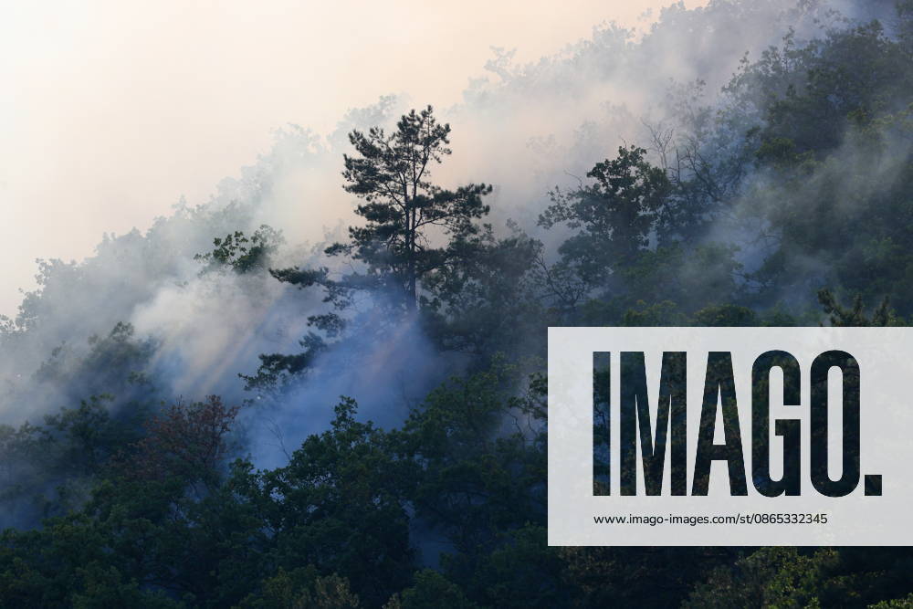 RUSSIA, REPUBLIC OF CRIMEA - AUGUST 30, 2026: Smoke billows from a burning forest on the slopes of the Chishma-Kaya Plateau in the vicinity of Mangul-Kale in the Bakhchisarai District. Maxim Churusov TASS 96853491