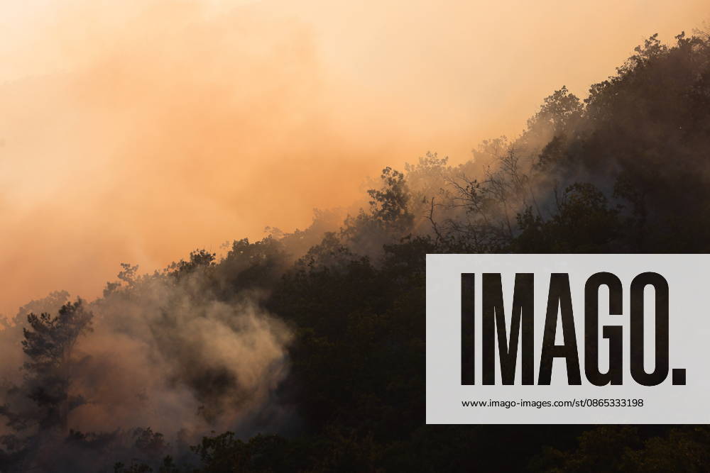 RUSSIA, REPUBLIC OF CRIMEA - AUGUST 30, 2026: Smoke billows from a burning forest on the slopes of the Chishma-Kaya Plateau in the vicinity of Mangul-Kale in the Bakhchisarai District Russia - ZUMAt113 20260830_zaa_t113_353
