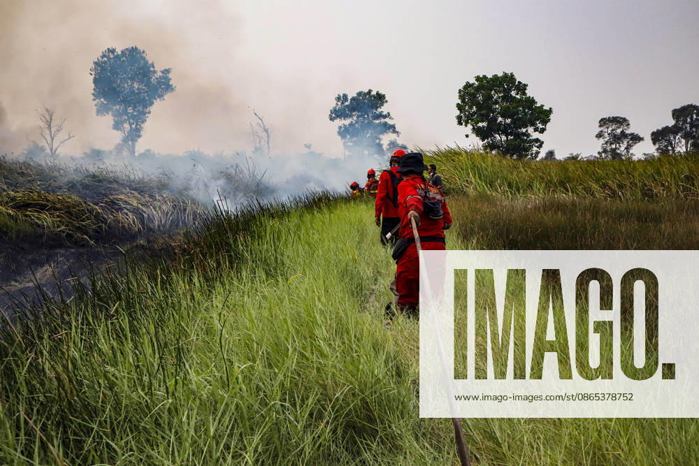 Peatland Fire In South Sumatra A Manggala Agni firefighter works to extinguish a peatland fire in Arisanjaya Village, Ogan Ilir, South Sumatra, on August 30, 2026. Ogan Ilir, South Sumatra Indonesia