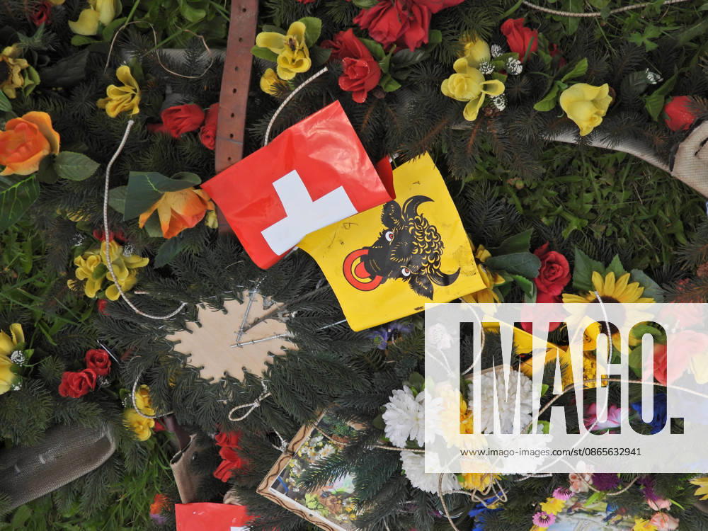 Schweiz Alpabtrieb,Alpabzug. Der Alpabtrieb nach Wassen wird 2026 nicht durchgefuehrt wegen einer Grossbaustelle. Bild. Kuehe der Alp Hinterfeld laufen daher nur bis Meiental Kanton URI . Blumenschmuck und Urnerfahne.