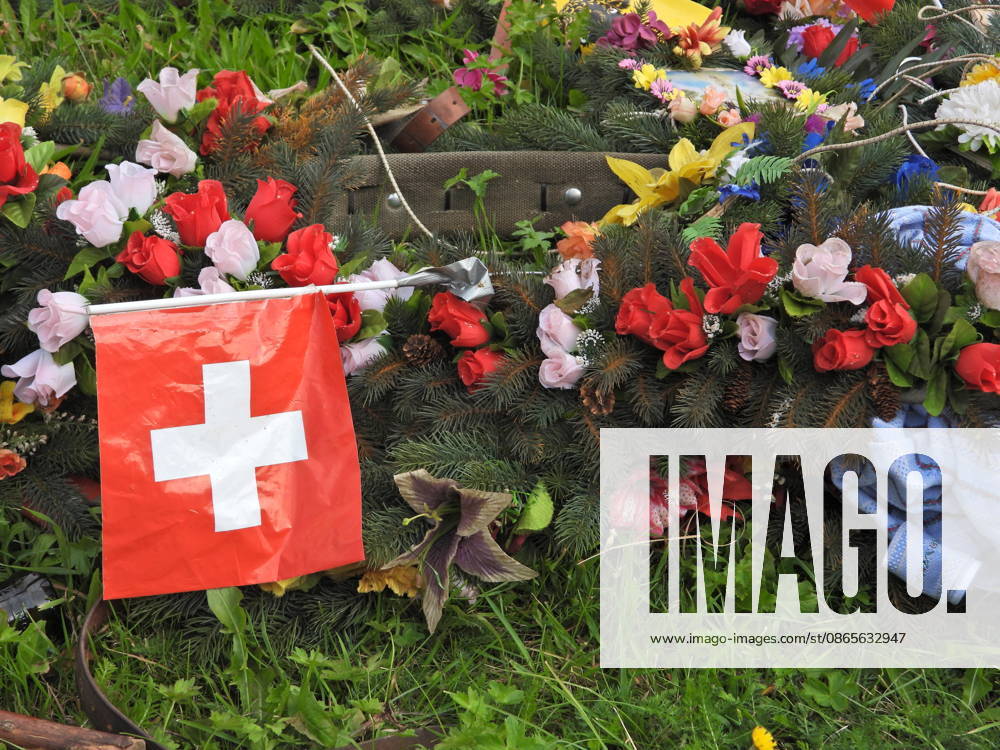 Schweiz Alpabtrieb,Alpabzug. Der Alpabtrieb nach Wassen wird 2026 nicht durchgefuehrt wegen einer Grossbaustelle. Bild. Kuehe der Alp Hinterfeld laufen daher nur bis Meiental Kanton URI . Blumenschmuck und Schweizerfahne.
