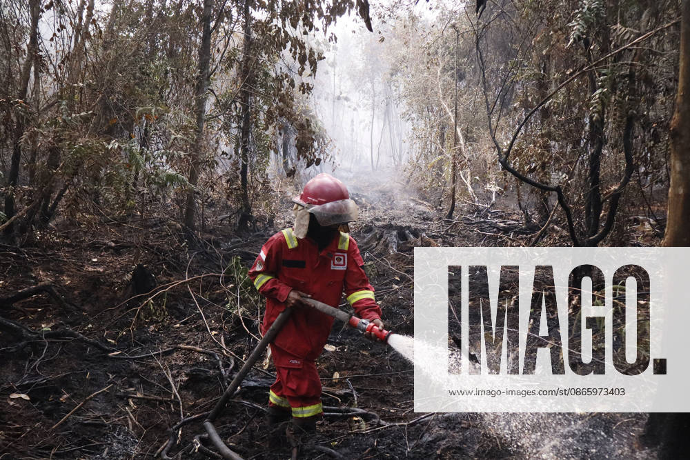 Forest and Peatland Fire in Ogan Ilir, South Sumatra Manggala Agni firefighters work to extinguish a forest and peatland fire in Kebun Raya Sriwijaya, North Inderalaya, Ogan Ilir, South Sumatra, Indonesia, on September 5, 2026. South Sumatra Indonesia