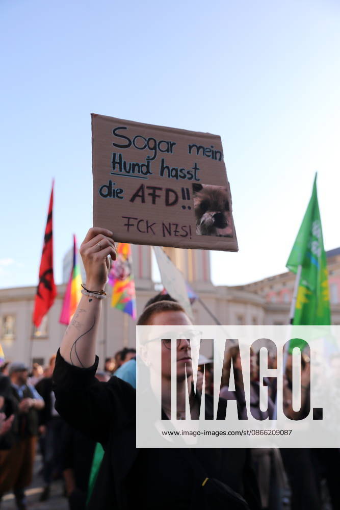 Eine Demonstrantin mit Schild Sogar mein Hund hasst die AfD! FCK NZS! während einer Kundgebung gegen die Partei Alternative für Deutschland AfD nach deren Wahlsieg bei der Landtagswahl in Sachsen-Anhalt, Alter Markt, Potsdam, 7. September 2026. Kundgebung gegen AfD in Potsdam