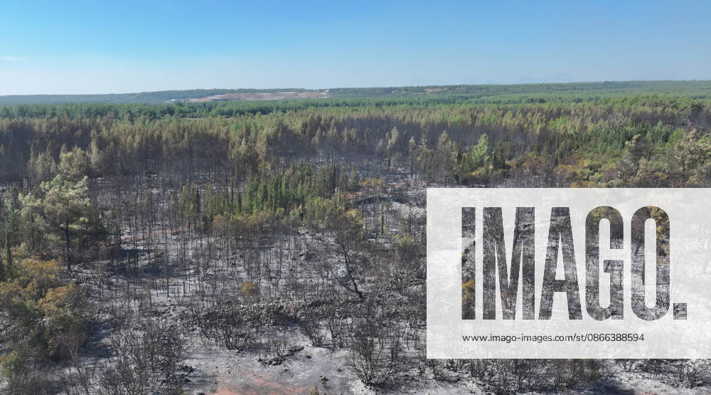 Firefighting efforts continue at the wildfire in Antalya ANTALYA, TURKIYE - SEPTEMBER 9: A view of forest area after wildfire in the Aksu district of Antalya, Turkiye on September 9, 2026. The wildfire spread across a vast area as efforts to bring the blaze under control continue. Orhan Cicek Anadolu Antalya Turkey. Editorial use only. Please get in touch for any other usage.