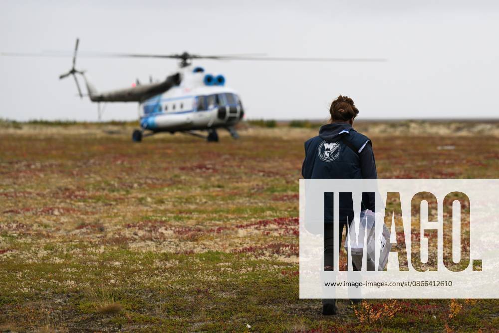 Russia Parliamentary Election Early Voting 9239432 09.09.2026 A member of the local commission carries walks to a helicopter during the early voting in remote areas ahead of State Duma elections at a reindeer camping ground, in Yamalo-Nenets Autonomous Area, Russia. Russians will vote in State Duma, the lower house of parliament, and municipal elections over three days, from September 18-20. Alexandr Kryazhev Sputnik Yamalo-Nenets Autonomous Area Russia