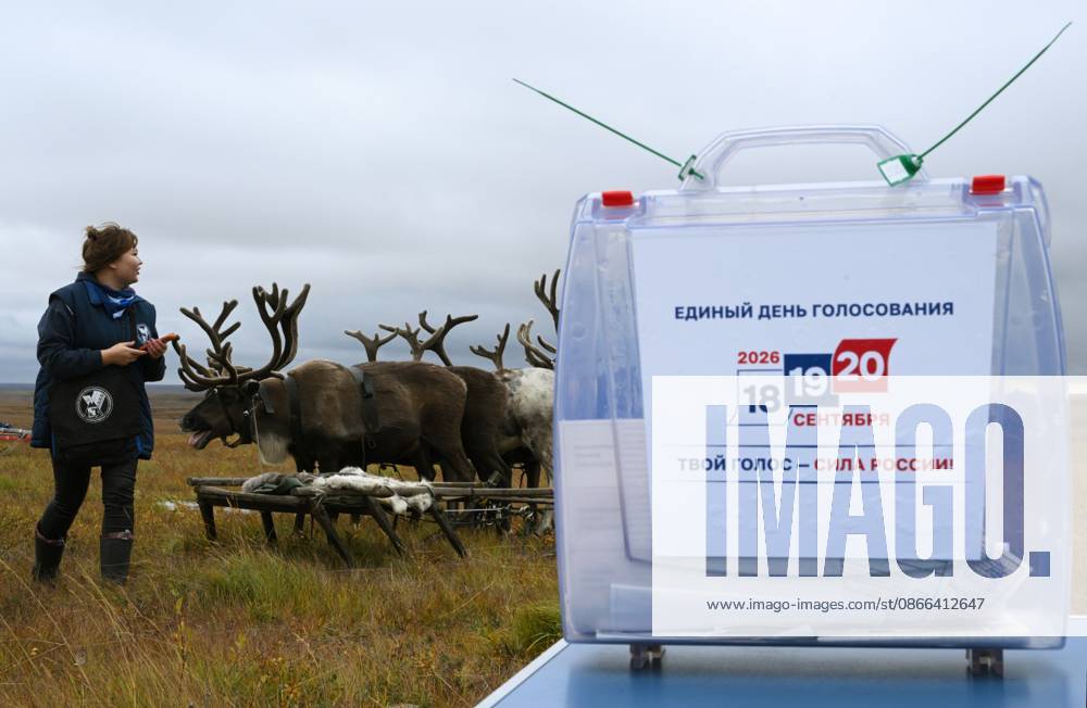 Russia Parliamentary Election Early Voting 9239439 09.09.2026 A mobile ballot box is seen during the early voting in remote areas ahead of State Duma elections at a reindeer camping ground, in Yamalo-Nenets Autonomous Area, Russia. Russians will vote in State Duma, the lower house of parliament, and municipal elections over three days, from September 18-20. Alexandr Kryazhev Sputnik Yamalo-Nenets Autonomous Area Russia