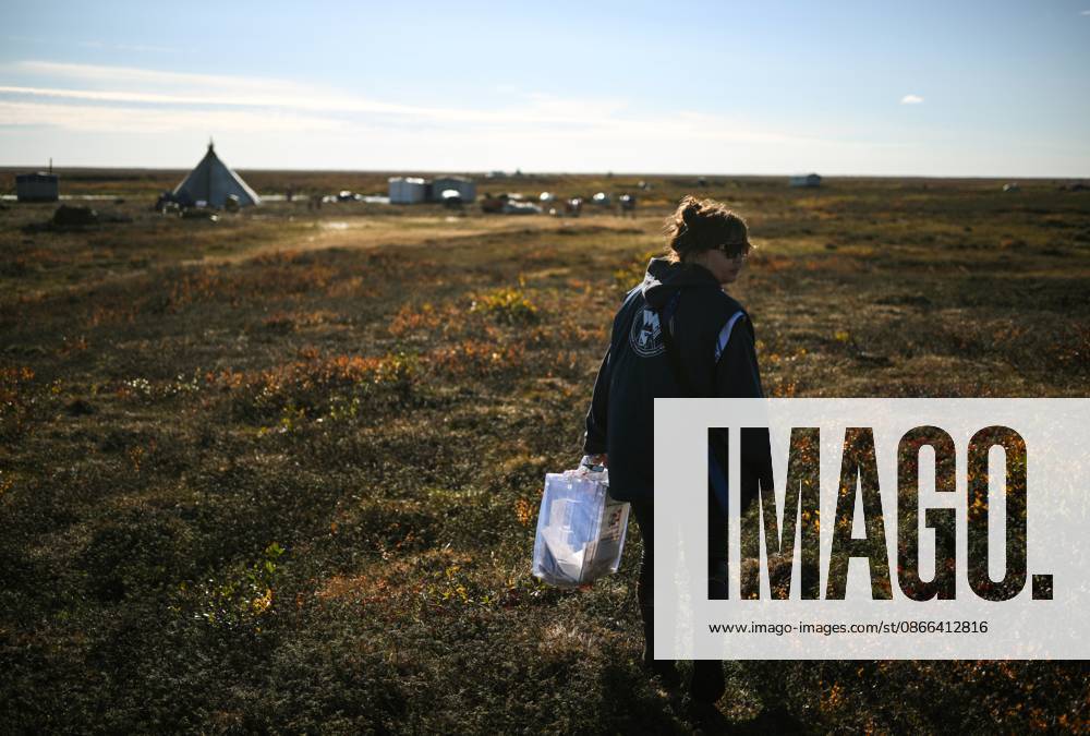 Russia Parliamentary Election Early Voting 9239442 09.09.2026 A member of the local commission carries a mobile ballot box during the early voting in remote areas ahead of State Duma elections at a reindeer camping ground, in Yamalo-Nenets Autonomous Area, Russia. Russians will vote in State Duma, the lower house of parliament, and municipal elections over three days, from September 18-20. Alexandr Kryazhev Sputnik Yamalo-Nenets Autonomous Area Russia