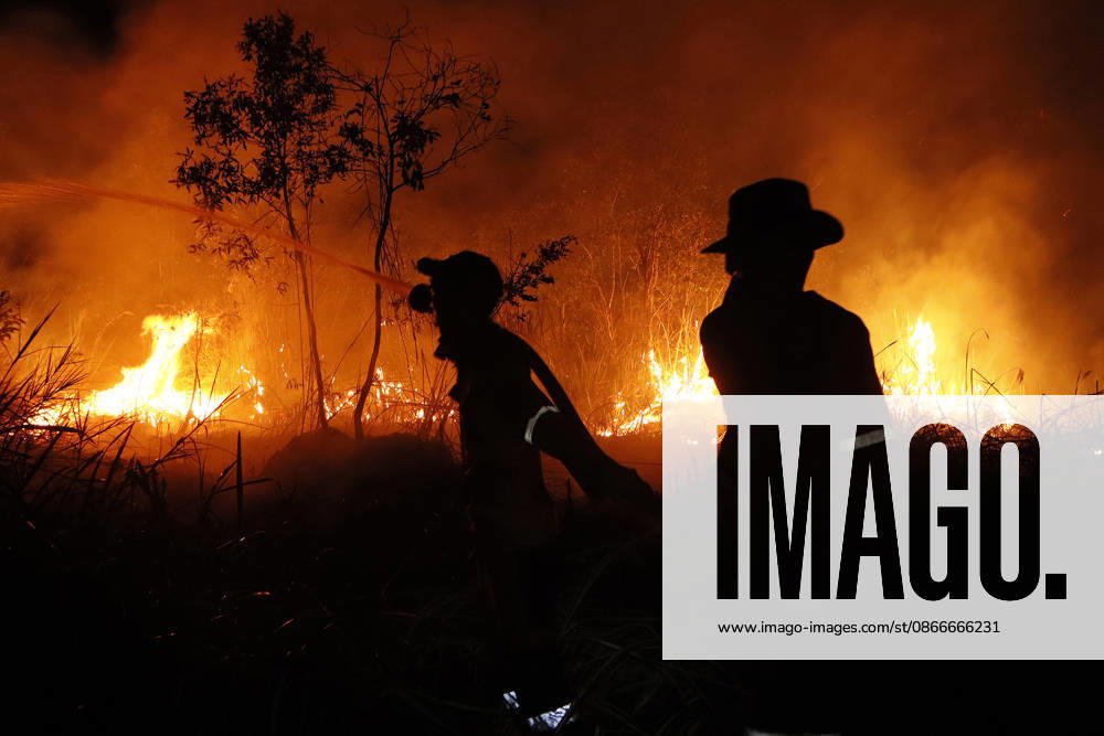 Forest And Peatland Fire In Ogan Ilir, South Sumatra A firefighter from the Ogan Ilir Regional Disaster Management Agency (BPBD) works to extinguish a forest and land fire along the Palembang-Inderalaya highway in Sungai Rambutan, Ogan Ilir Regency, South Sumatra, on September 11, 2026. Ogan Ilir, South Sumatra Indonesia