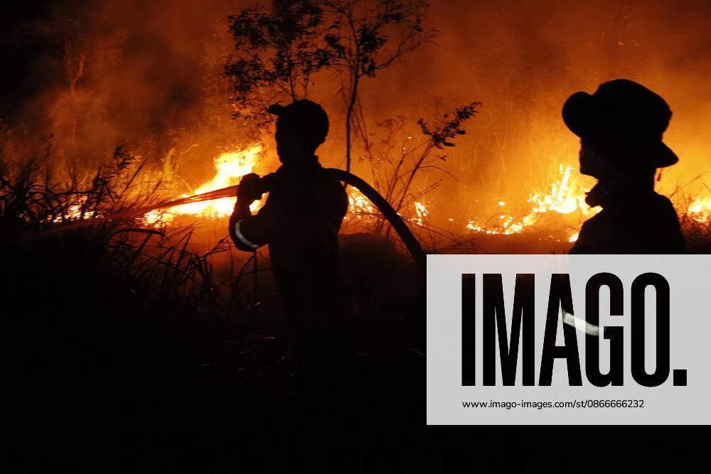 Forest And Peatland Fire In Ogan Ilir, South Sumatra A firefighter from the Ogan Ilir Regional Disaster Management Agency (BPBD) works to extinguish a forest and land fire along the Palembang-Inderalaya highway in Sungai Rambutan, Ogan Ilir Regency, South Sumatra, on September 11, 2026. Ogan Ilir, South Sumatra Indonesia